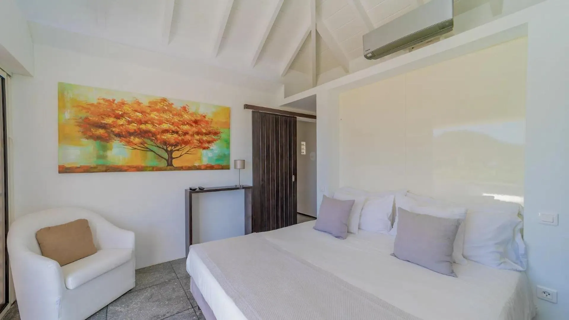 Amazing Villa With Views Over the Bay Gustavia