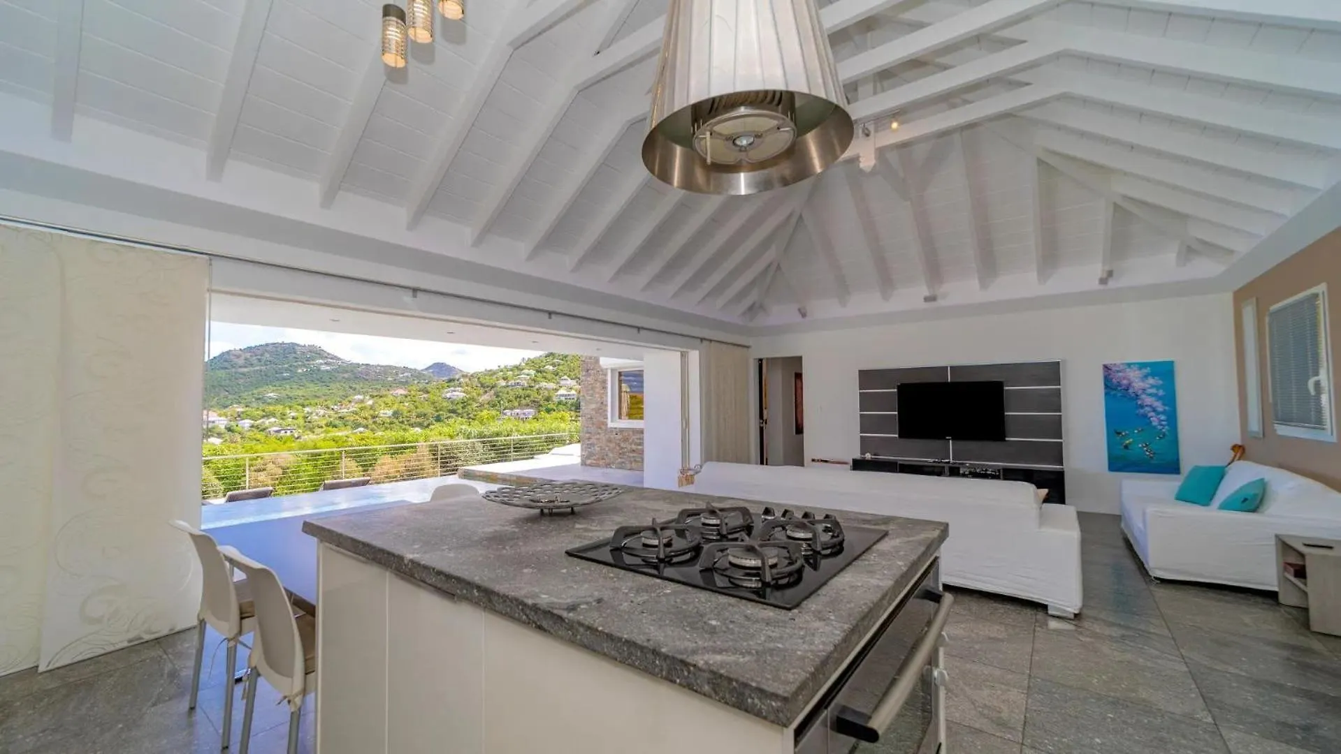 Amazing Villa With Views Over the Bay Gustavia